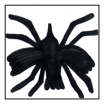 Vogelspinne