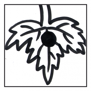 Blattschuss