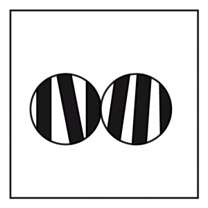 Zebra zu nah durch ein Fernglas beobachtet