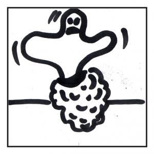 Himbeergeist