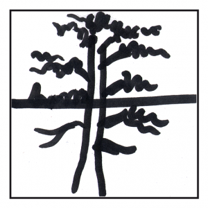 Ober- und Unterkiefer