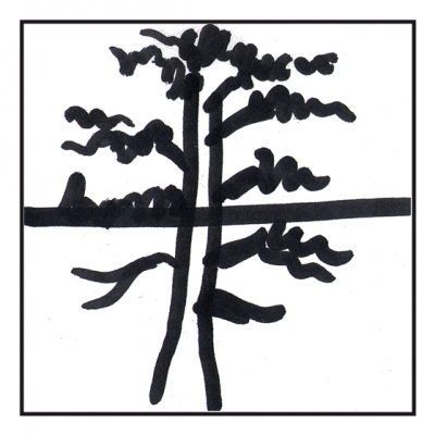 Ober- und Unterkiefer