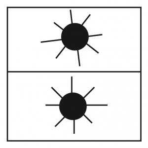 Spinne betrachtet Sonnenfinsternis