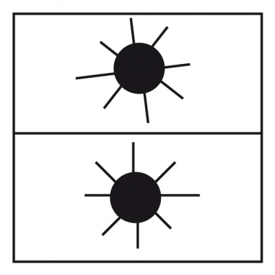 Spinne betrachtet Sonnenfinsternis